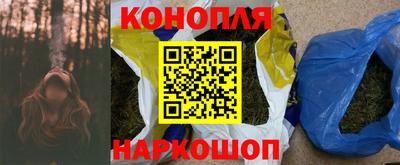 гашик Дмитров